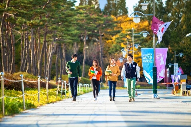 Popular subjects to study abroad in Korea