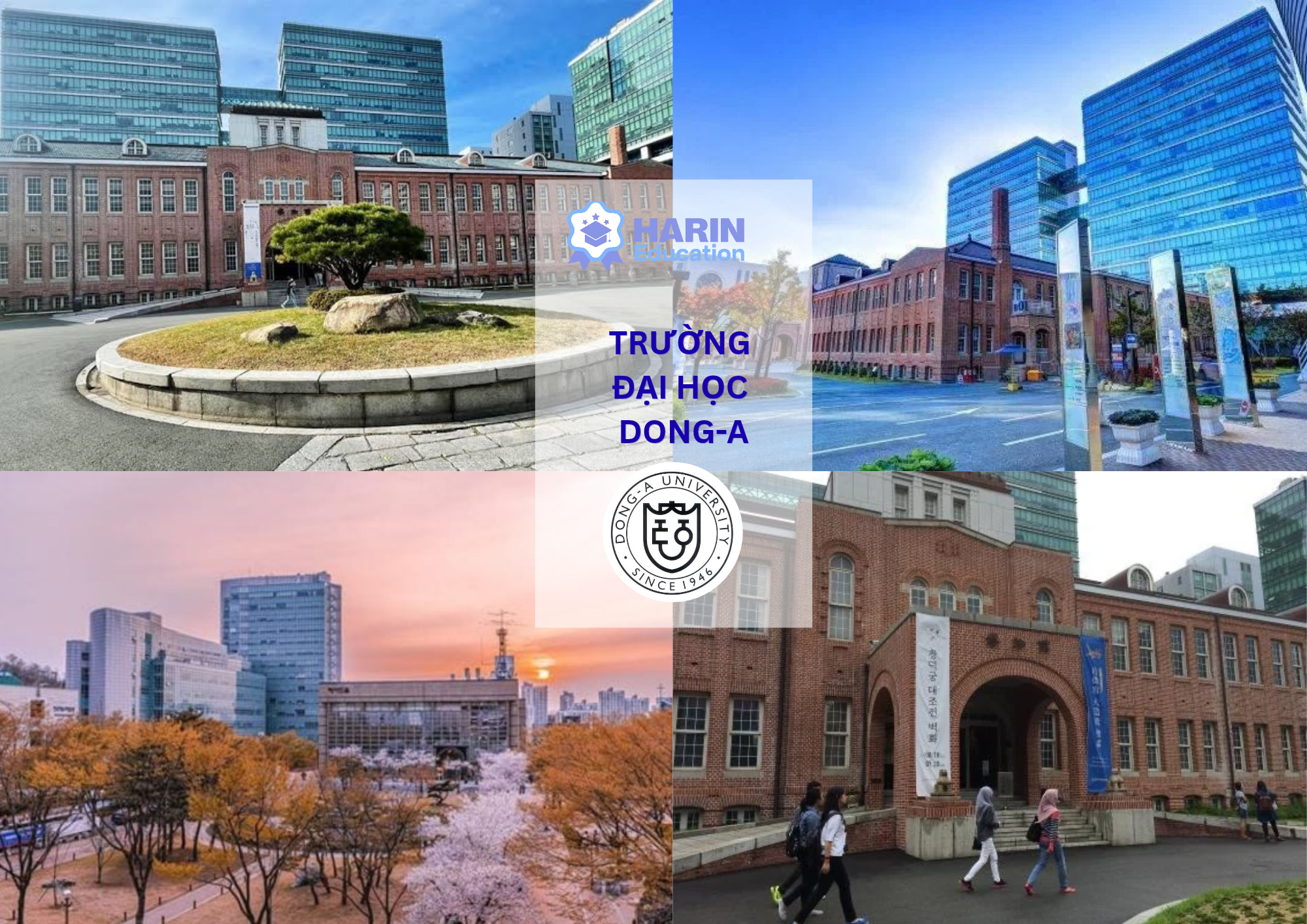ĐẠI HỌC DONG-A – TRƯỜNG ĐẠI HỌC GIỮA LÒNG BUSAN CÓ GÌ ĐẶC BIỆT?